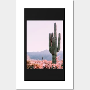 Cacti, Desert, Landscape, Sky, Nature print Posters and Art